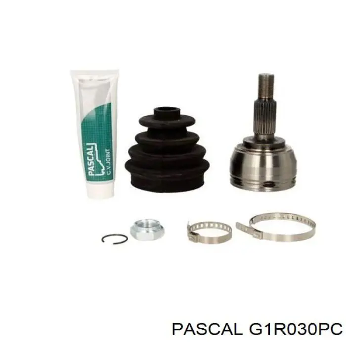 Comprar G1R030PC Pascal Junta homocinetica