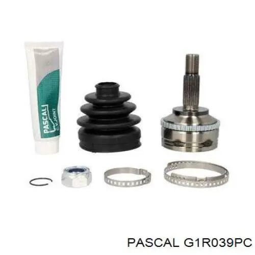 Junta homocinética exterior delantera Pascal G1R039PC precio, desde 29,13 EUR