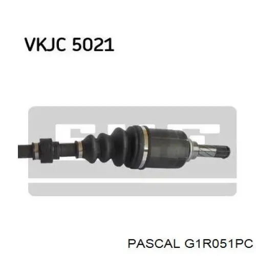 Junta homocinética exterior delantera Pascal G1R051PC