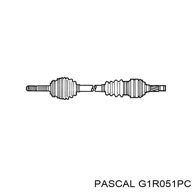 G1R051PC Pascal Junta homocinética