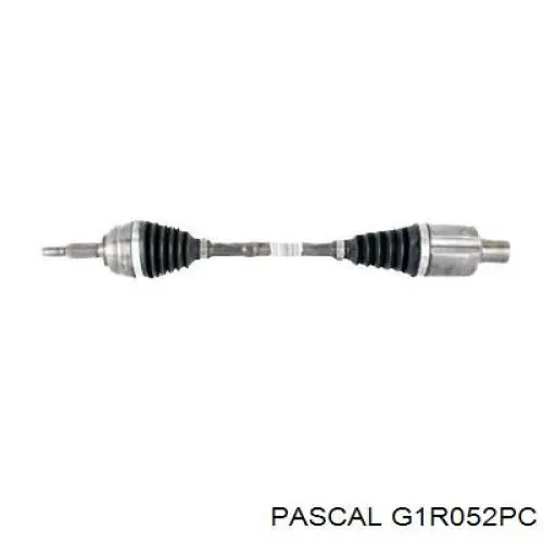 G1R052PC Pascal