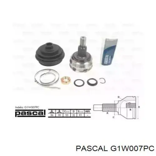 Junta homocinética exterior delantera Pascal G1W007PC precio, desde 37,99 EUR