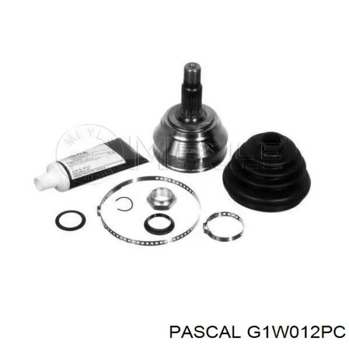 Comprar G1W012PC Pascal Junta homocinetica