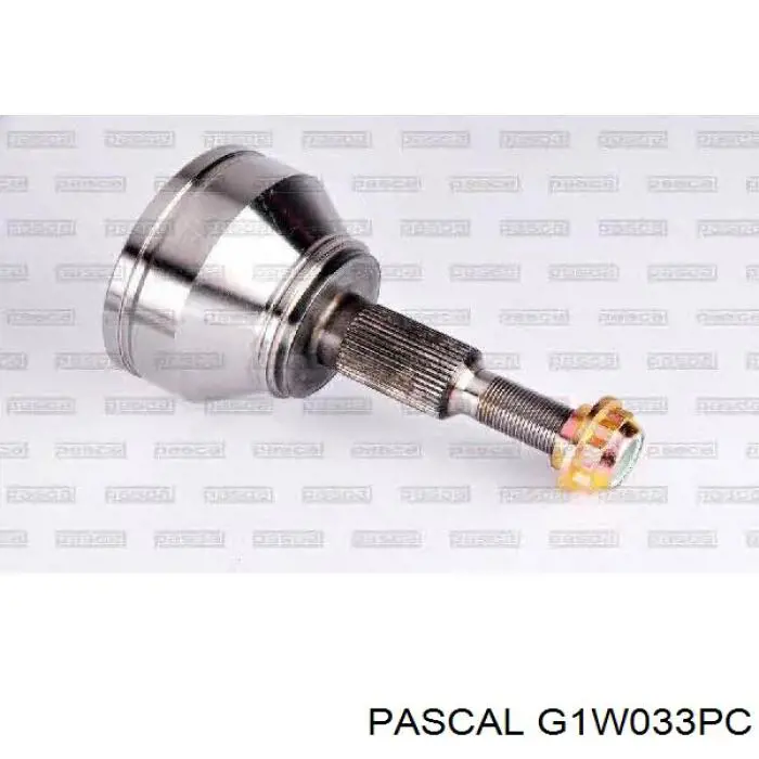 Comprar G1W033PC Pascal Junta homocinetica