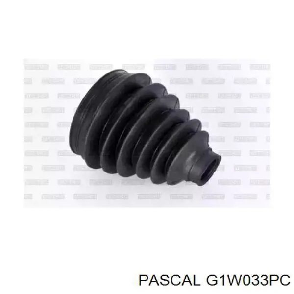 Junta homocinética exterior delantera Pascal G1W033PC