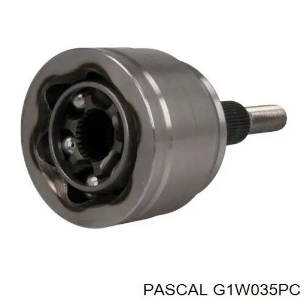 Comprar G1W035PC Pascal Junta homocinetica