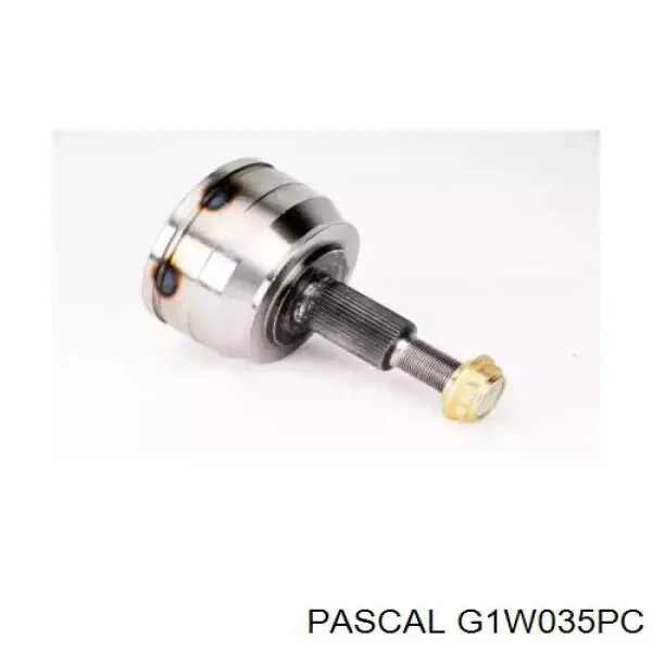 Junta homocinetica G1W035PC Pascal