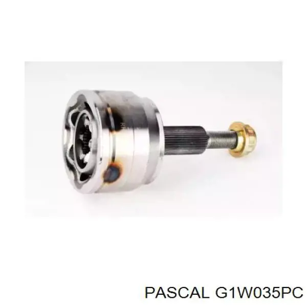 Junta homocinética exterior delantera Pascal G1W035PC