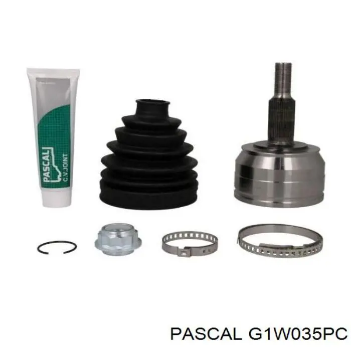 Comprar G1W035PC Pascal Junta homocinetica