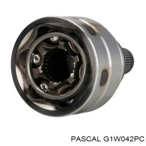 Junta homocinética exterior delantera Pascal G1W042PC precio, desde 42,24 EUR