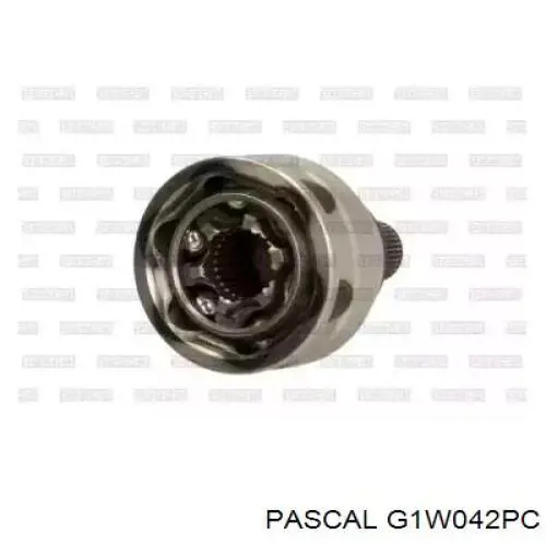 G1W042PC Pascal Junta homocinética