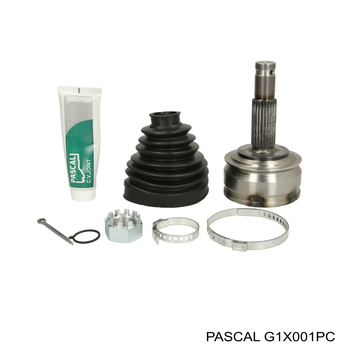 Comprar G1X001PC Pascal Junta homocinetica