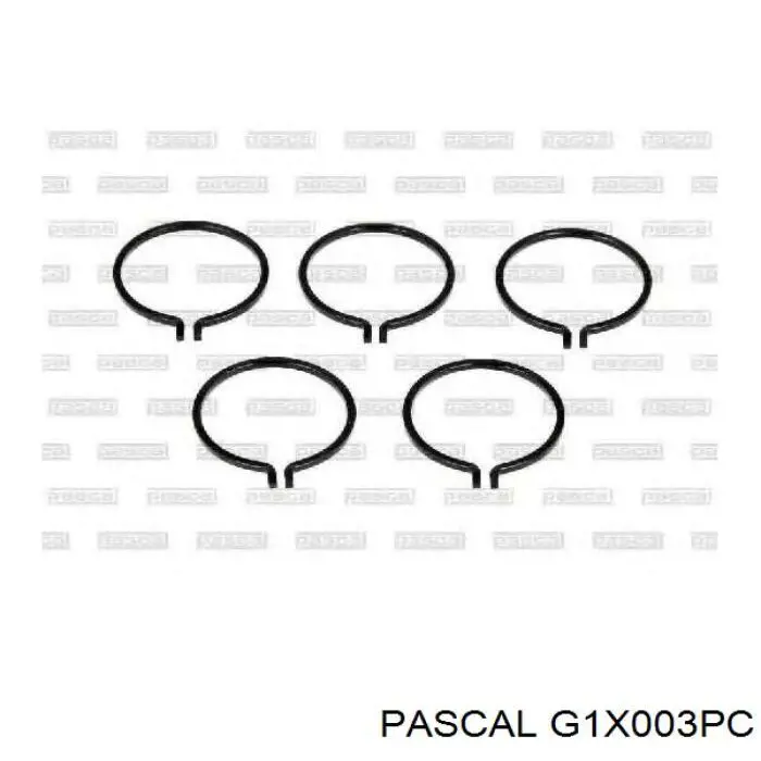G1X003PC Pascal junta homocinética exterior delantera