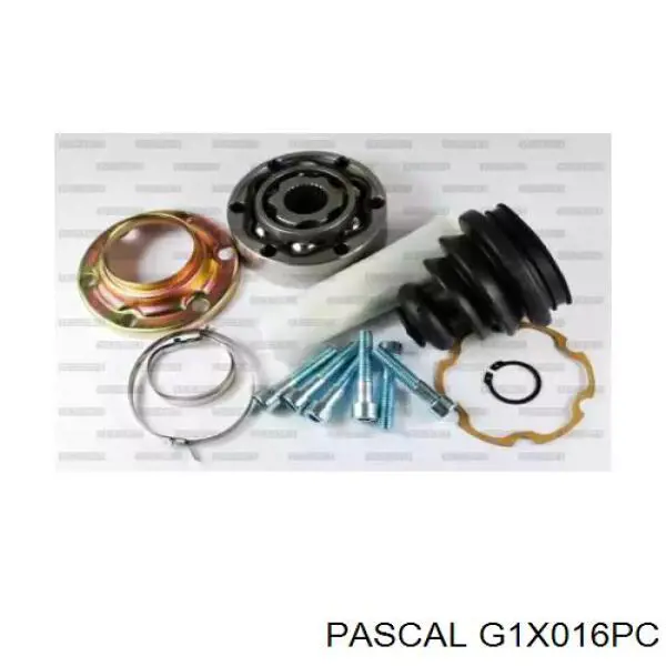 Comprar G1X016PC Pascal Junta homocinética interior trasera
