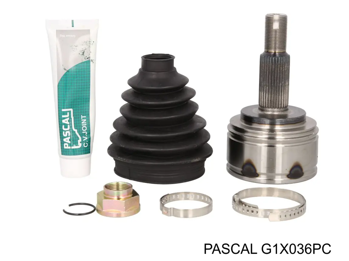 G1X036PC Pascal Junta homocinética