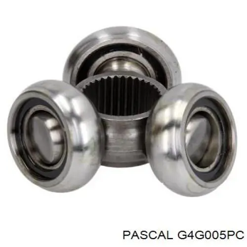 Trípode interior Pascal G4G005PC precio, desde 23,63 EUR