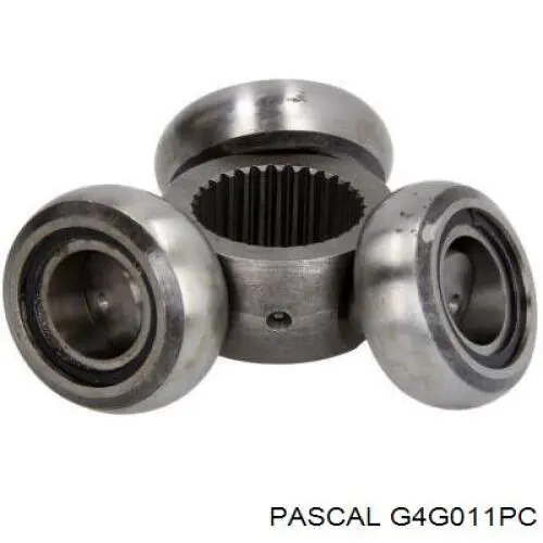 Trípode interior Pascal G4G011PC precio, desde 26,71 EUR