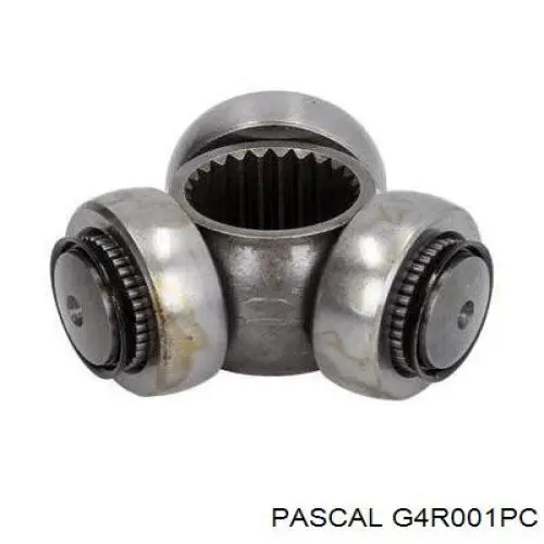 Comprar G4R001PC Pascal Junta trípode interior