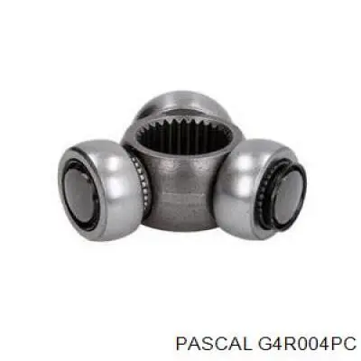 Trípode interior Pascal G4R004PC precio, desde 17,27 EUR
