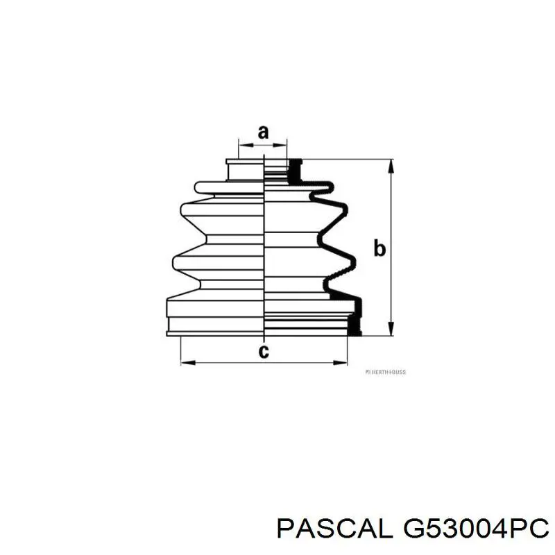 G53004PC Pascal fuelle, árbol de transmisión delantero exterior