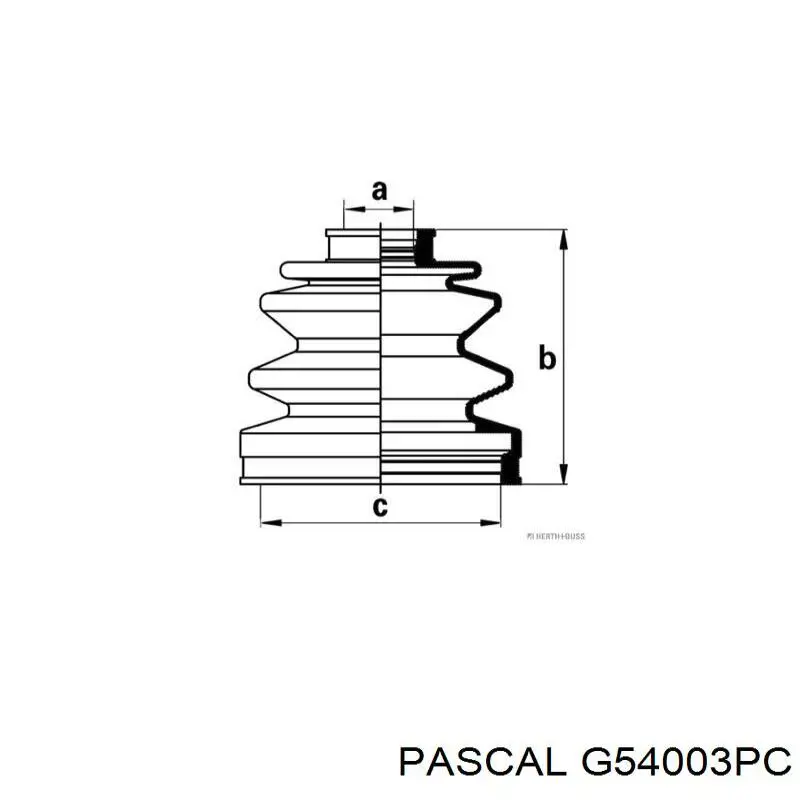 Fuelle de palier delantero exterior G54003PC Pascal