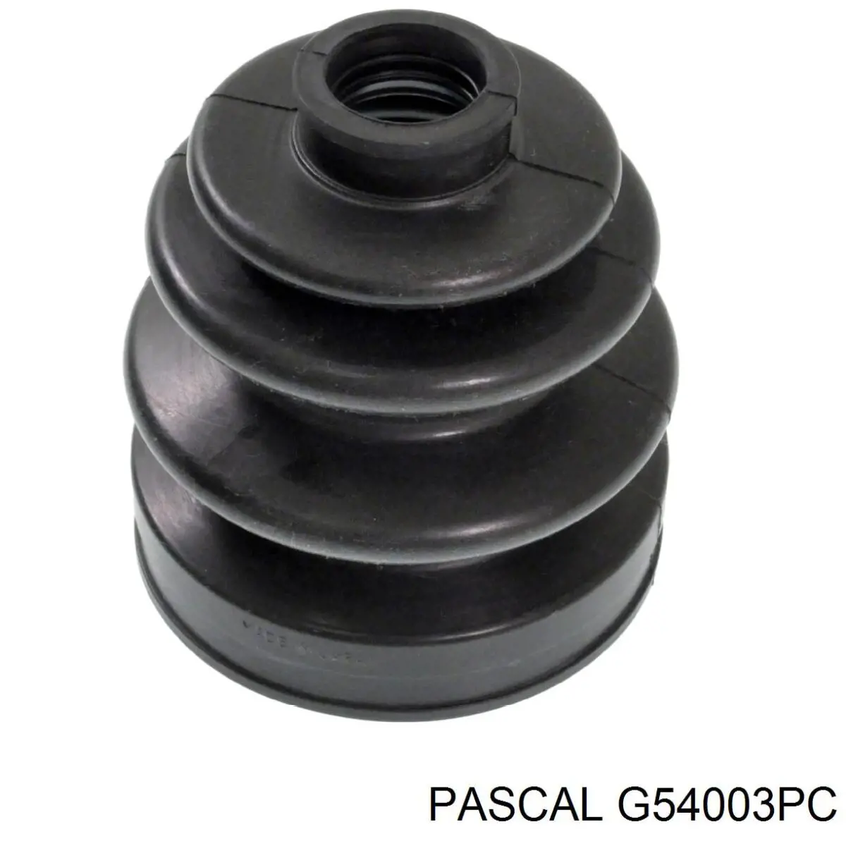 Fuelle semieje delantero exterior Pascal G54003PC
