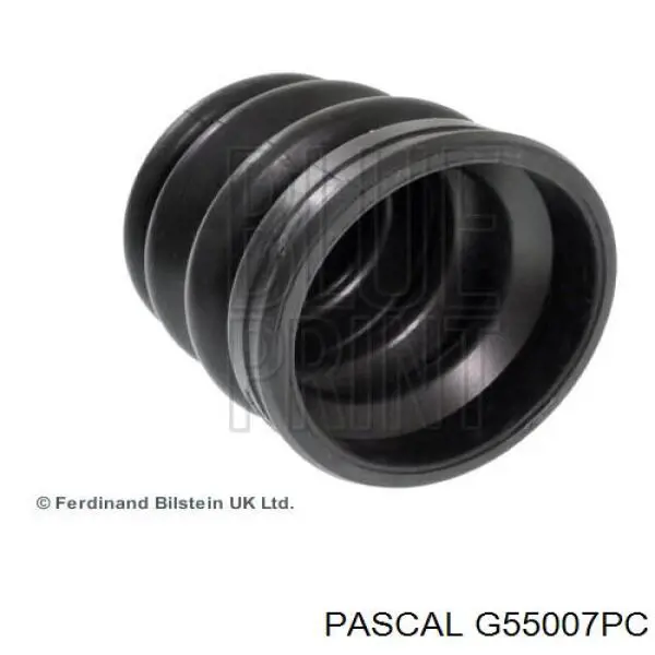 Fuelle de palier delantero exterior G55007PC Pascal