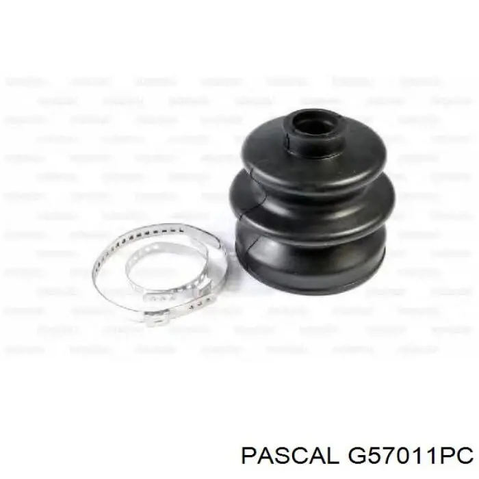 Comprar G57011PC Pascal Fuelle de semieje delantero interior