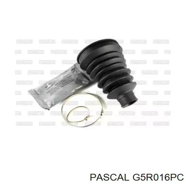 Fuelle, palier delantero exterior Pascal G5R016PC precio, desde 13,13 EUR