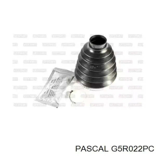 Comprar G5R022PC Pascal Fuelle de palier delantero exterior