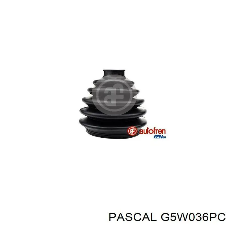 G5W036PC Pascal fuelle, árbol de transmisión delantero exterior