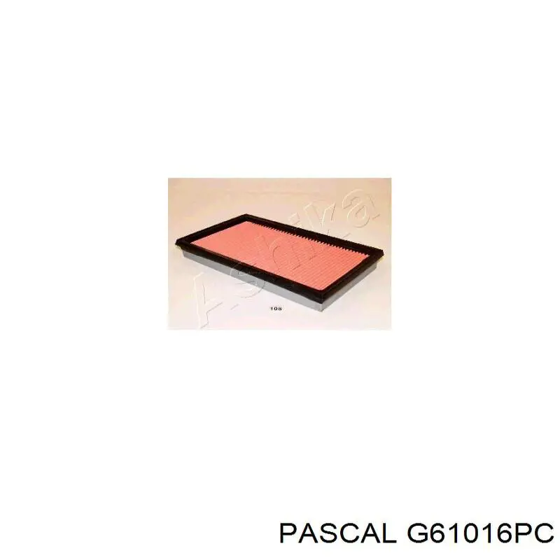 Fuelle transmisión delantero exterior Pascal G61016PC precio, desde 9,77 EUR