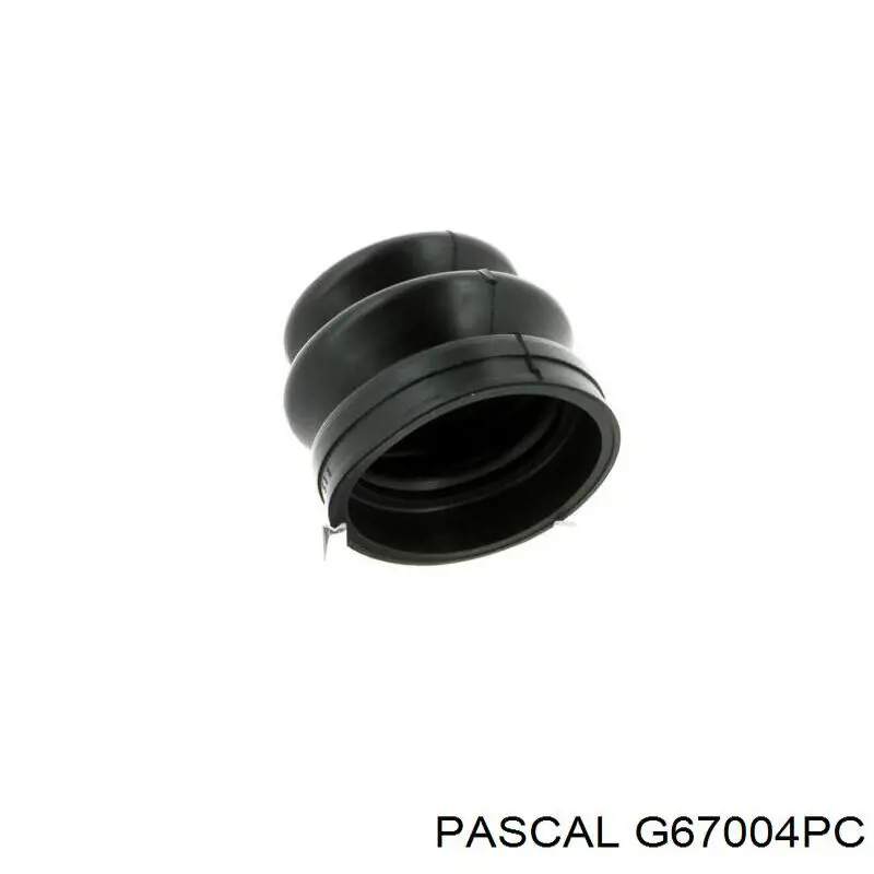 Fuelle transmisión delantero exterior Pascal G67004PC precio, desde 10,62 EUR