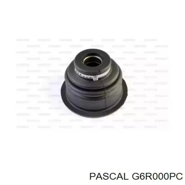 Fuelle, junta homocinética interna izquierda del semieje delantero G6R000PC Pascal