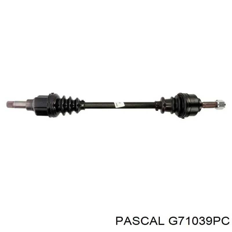 G71039PC Pascal