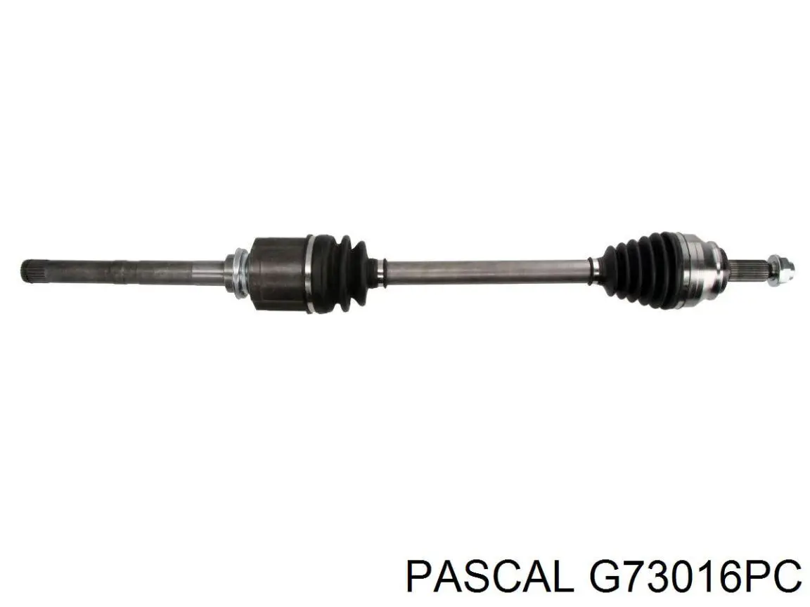 G73016PC Pascal junta homocinética interior delantera izquierda