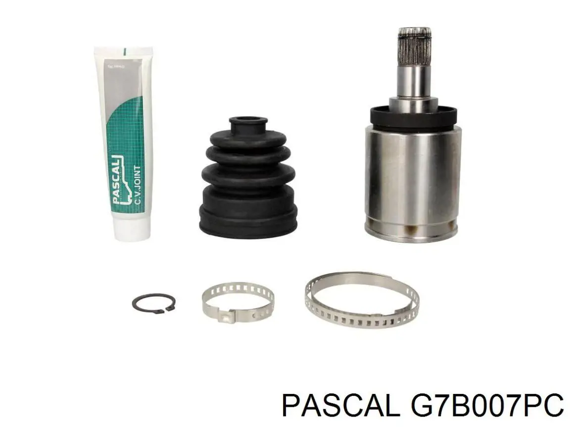  Pascal G7B007PC precio, desde 55,80 EUR