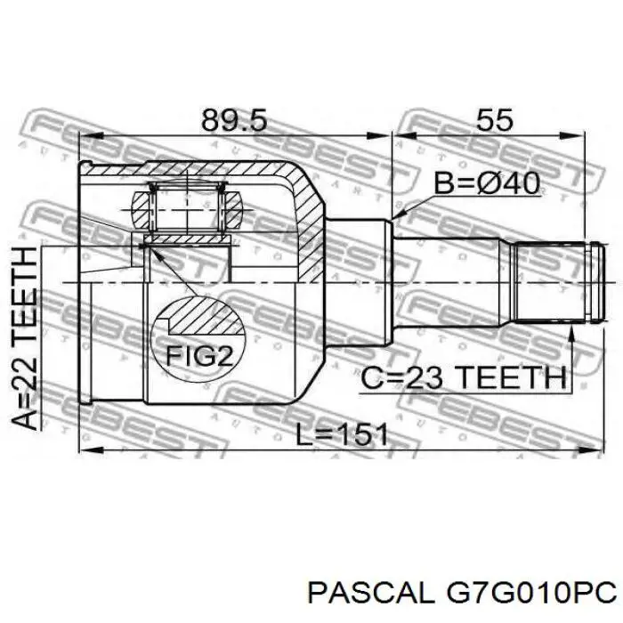 G7G010PC Pascal junta homocinética interior delantera izquierda