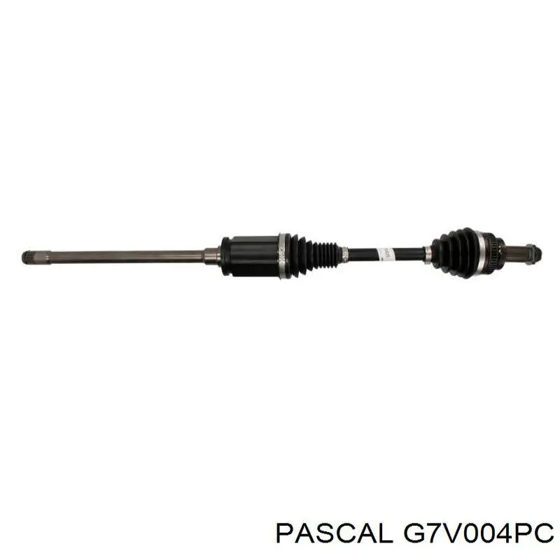 Comprar G7V004PC Pascal Semieje delantero izquierdo