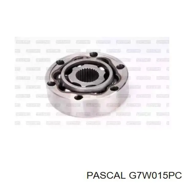 Juego de articulación, árbol de transmisión, interior delantera Pascal G7W015PC
