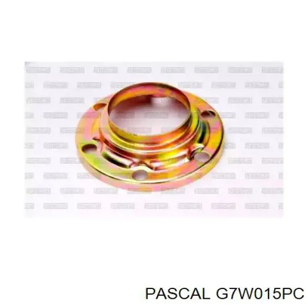 G7W015PC Pascal Junta homocinética interna delantera