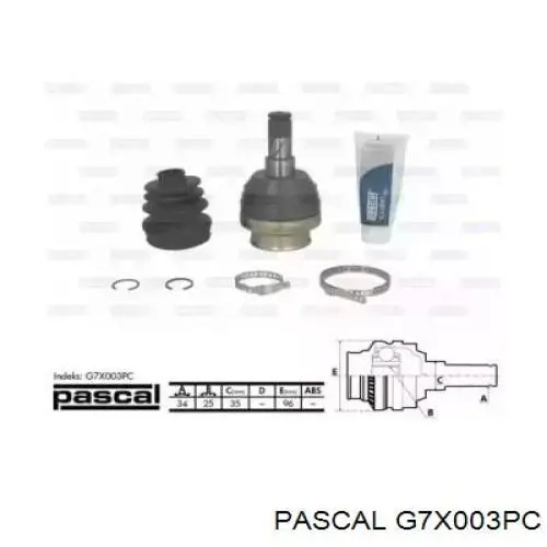 Comprar G7X003PC Pascal Junta homocinética interna delantera