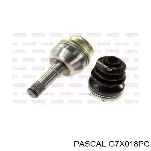Comprar G7X018PC Pascal 