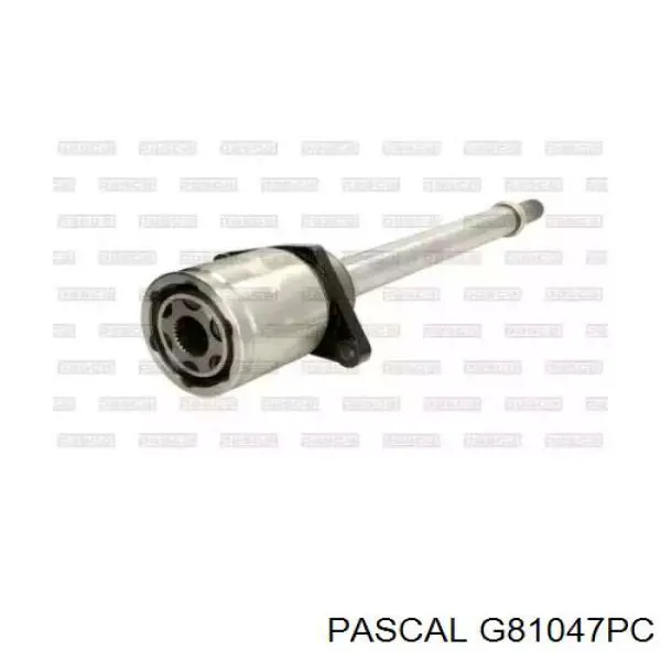 Semieje delantero derecho G81047PC Pascal