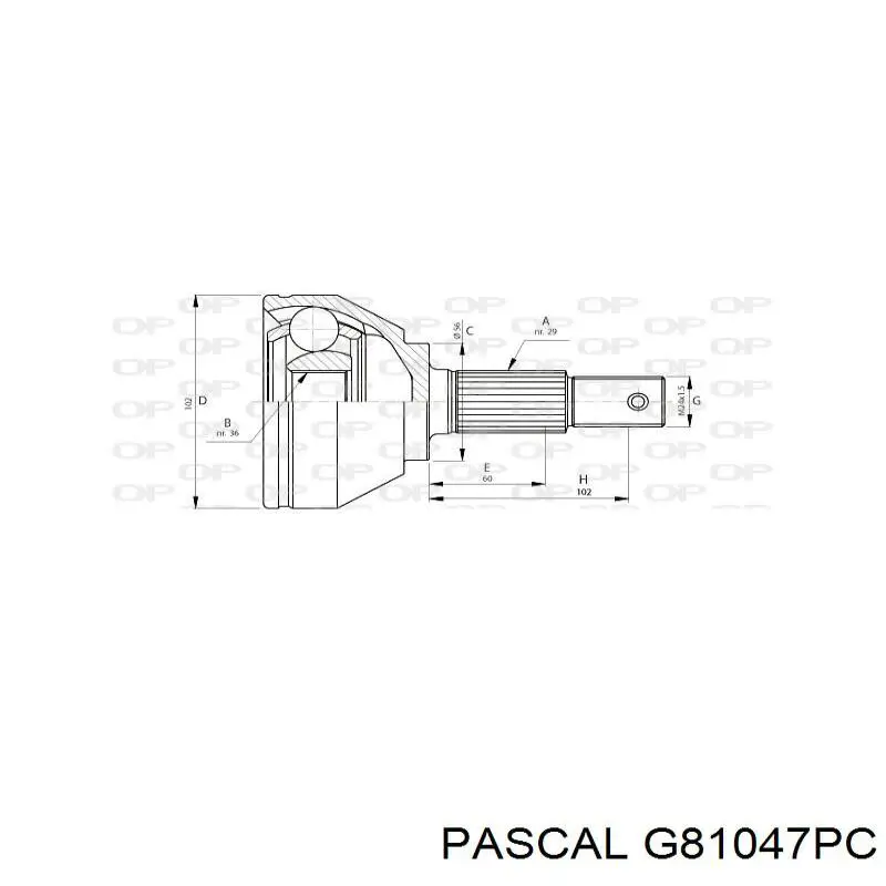 Comprar G81047PC Pascal Semieje delantero derecho