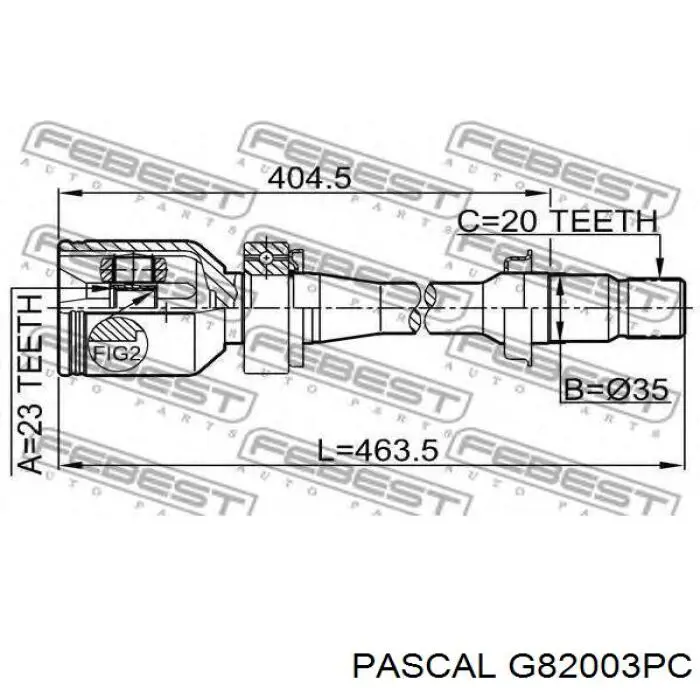 G82003PC Pascal junta homocinética exterior delantera derecha