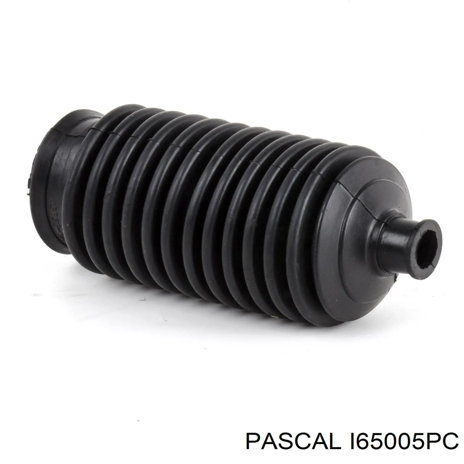 Comprar I65005PC Pascal Plumero de dirección