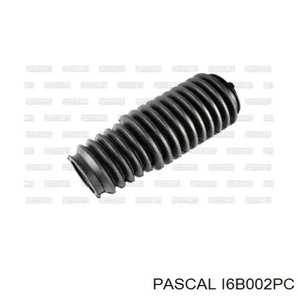 Comprar I6B002PC Pascal Plumero de dirección