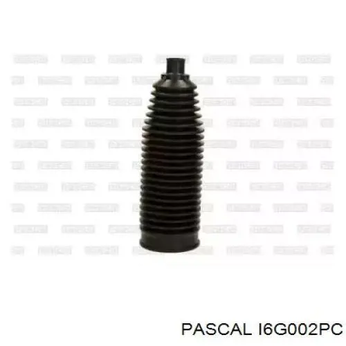 Comprar I6G002PC Pascal Plumero de dirección