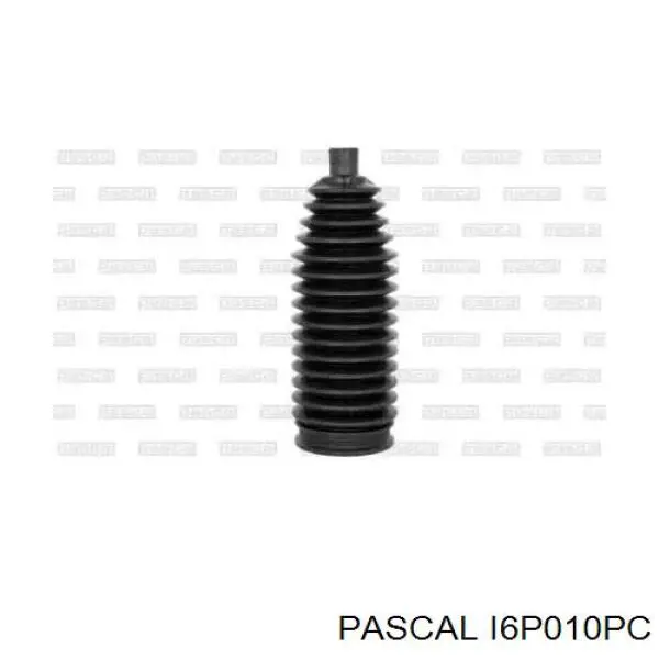 Fuelle dirección I6P010PC Pascal